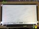 Κανονικά λευκιά επιτροπή N116BGE-E32 ISO 9001 Innolux LCD 11,6 ίντσας εγκεκριμένη