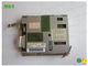NL3224AC35-06 NEC όργανα ελέγχου ιατρικού βαθμού LCD, οθόνη αντικατάστασης LCD 5,5 ίντσα
