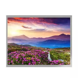 Ενότητα διεπαφών TFT LCD επίδειξης G104X1-L04 LVDS ίντσας TFT LCD MVA 10,4