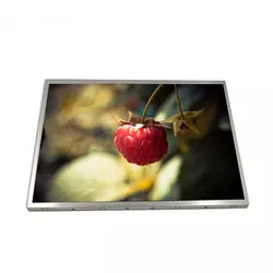 G104X1-L03 επίδειξη οθόνης ενότητας 1024*768 LCD επίδειξης αναθ. C5 LCD